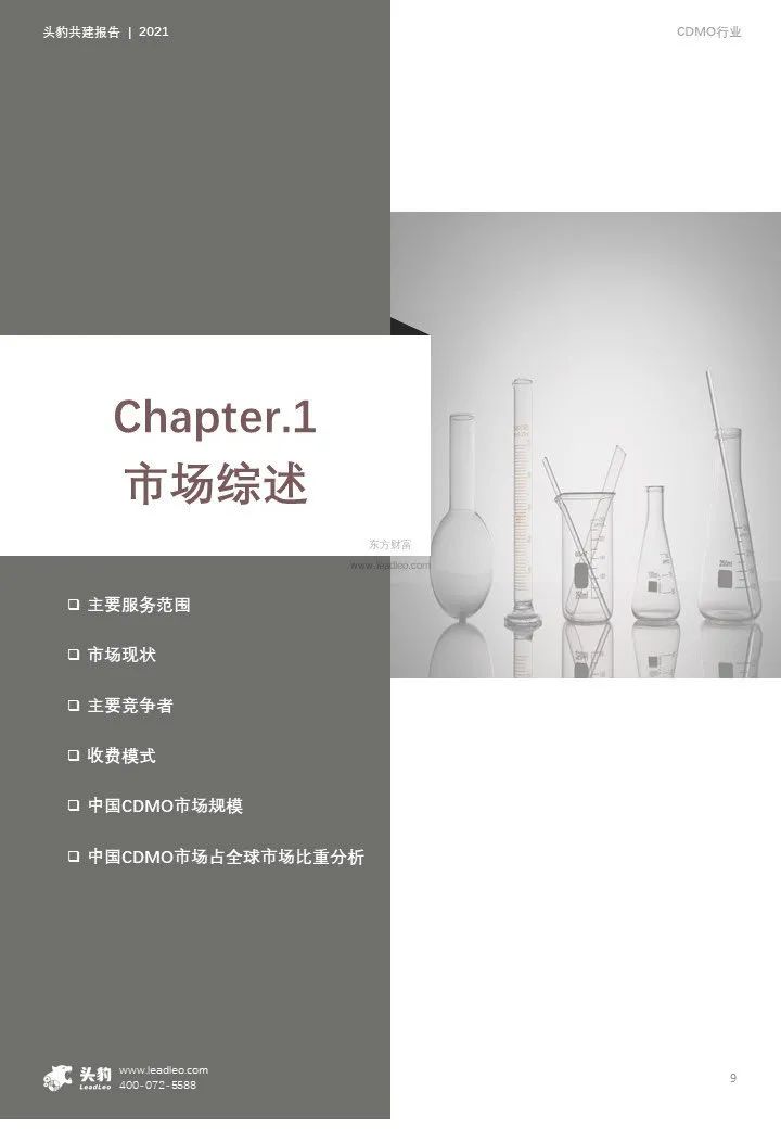 中国CDMO行业研究报告