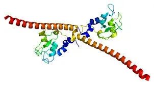 启辰生生物基于mRNA-TAA的DC细胞疗法IND获得受理