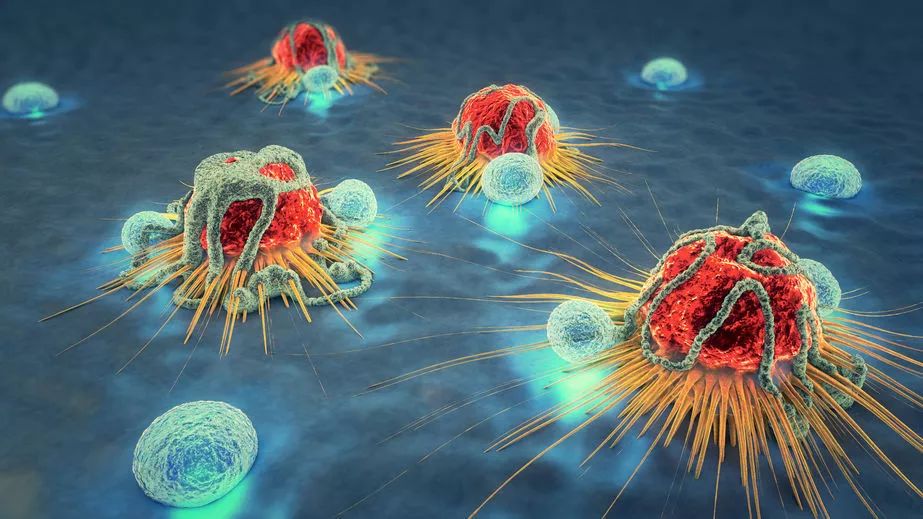 人类能否把生命再提高30年，干细胞是其中一个方向