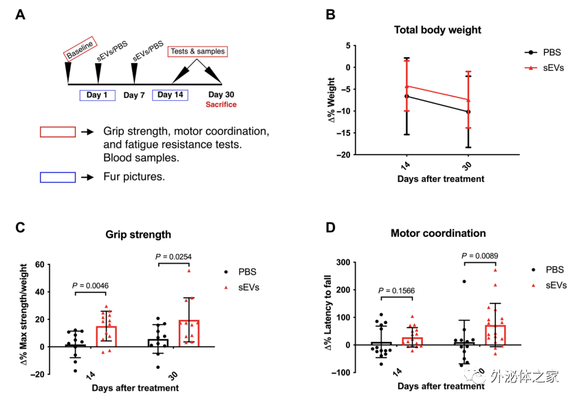 外泌体抗衰老：注射年轻的干细胞分泌的sEV可延缓多项衰老特征【Science子刊】