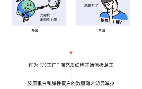 外泌体进入皮肤后的72小时，会有哪些变化？