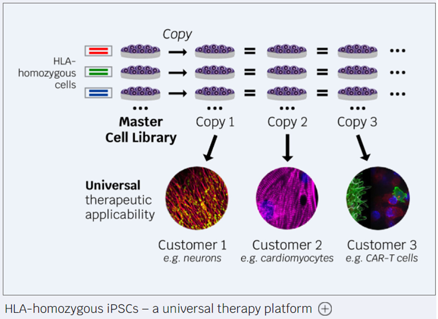 2022年干细胞治疗行业研究报告