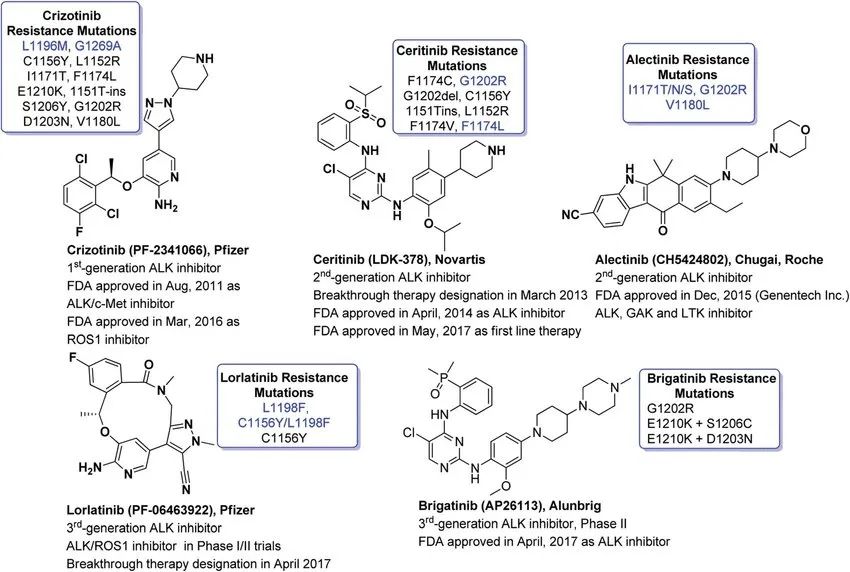 最新综述：抗肿瘤药物三十年，FDA 批准的小分子药物与免疫治疗药物