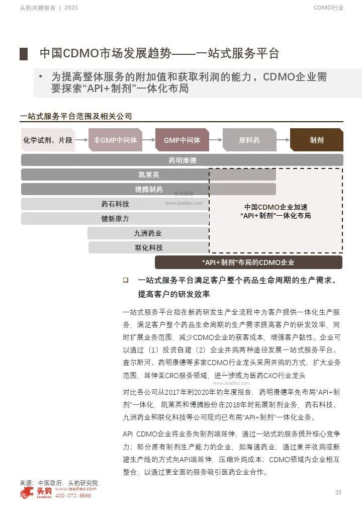 中国CDMO行业研究报告