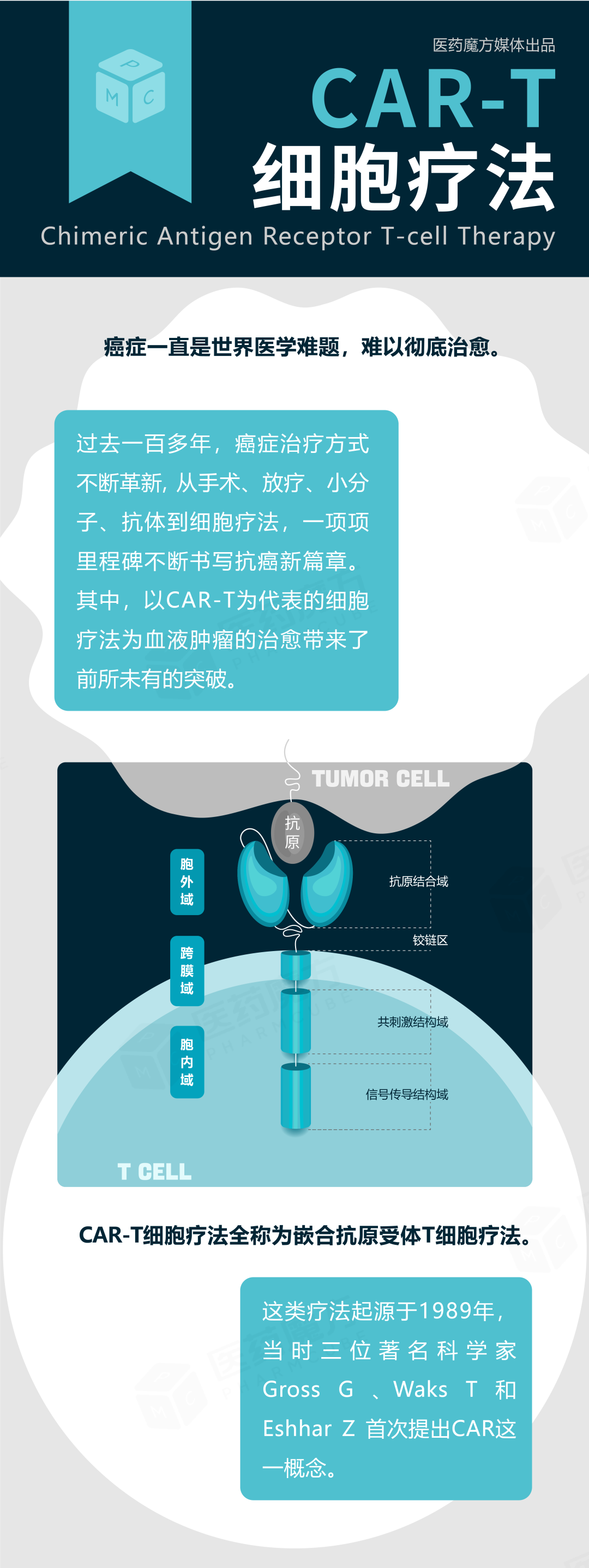 干货收藏：CAR-T细胞疗法「图鉴」