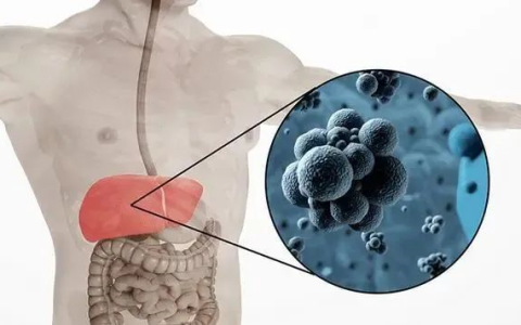 肝脏疾病真的可怕，干细胞疗法护肝有方！