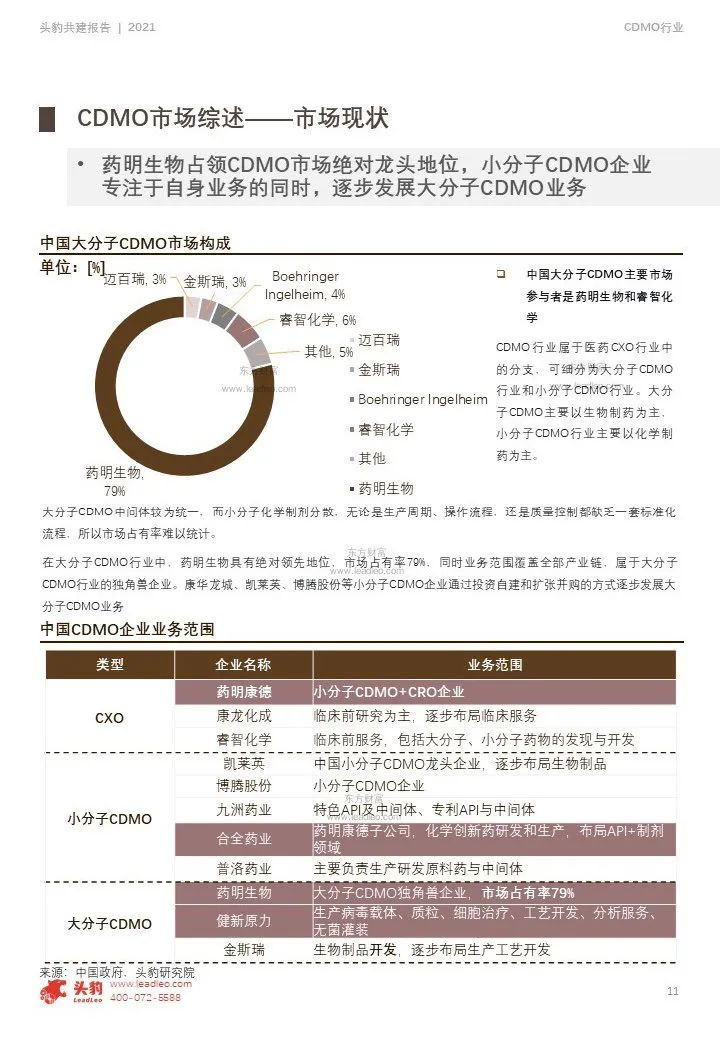 中国CDMO行业研究报告