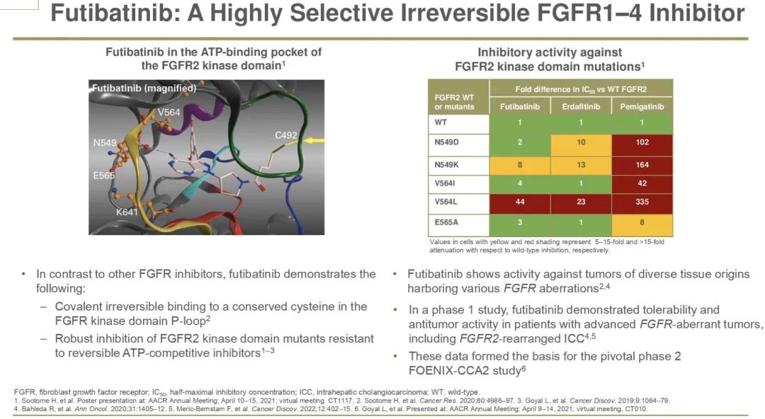 一个月内，九款新药！FDA 批准新药的大爆发