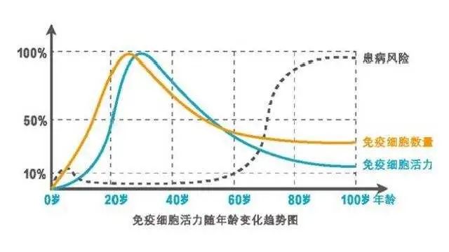 全年无休的免疫细胞，时刻在保护着我们