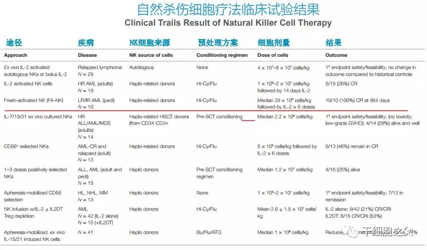 NK细胞：人体免疫的广谱杀手，防癌、抵御病毒、抗衰老