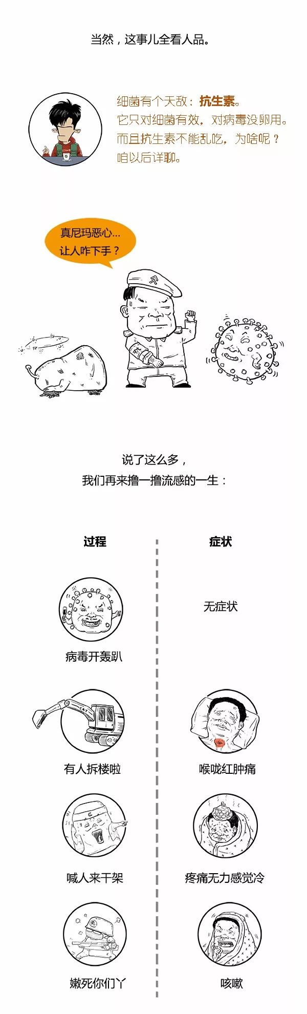 流感发生后，免疫细胞宝宝们在干啥？