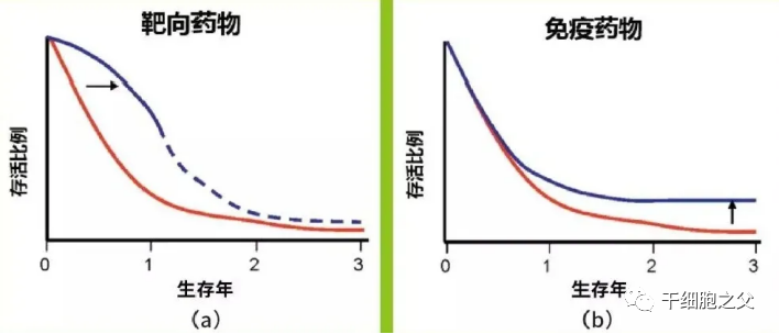 一文读懂:化疗、靶向治疗、免疫治疗三者的区别