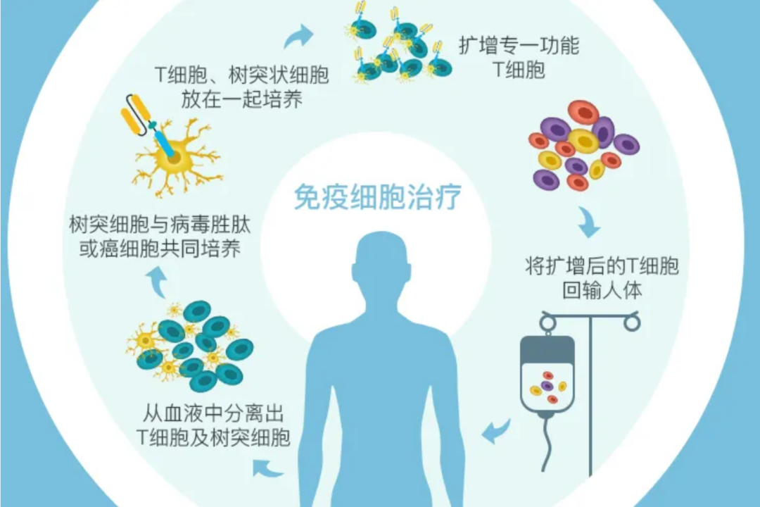 关于免疫细胞应用的10个问与答