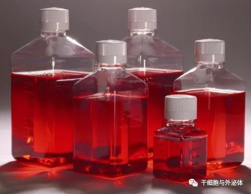 条件培养基在皮肤抗衰老中的应用