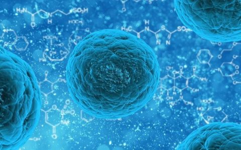 国家重点实验室研究报告：间充质干细胞外泌体对皮肤抗衰老和再生的影响