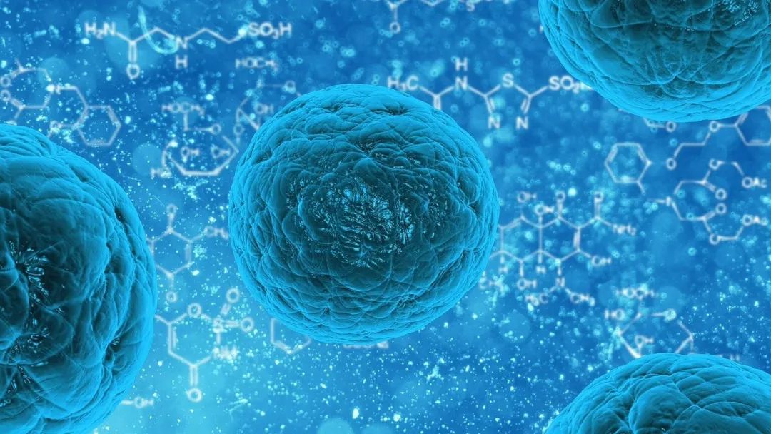 国家重点实验室研究报告：间充质干细胞外泌体对皮肤抗衰老和再生的影响