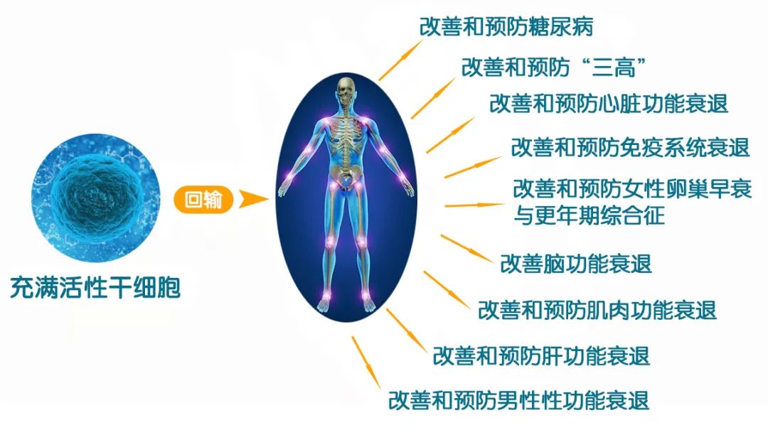 干细胞回输前后需要了解哪些知识