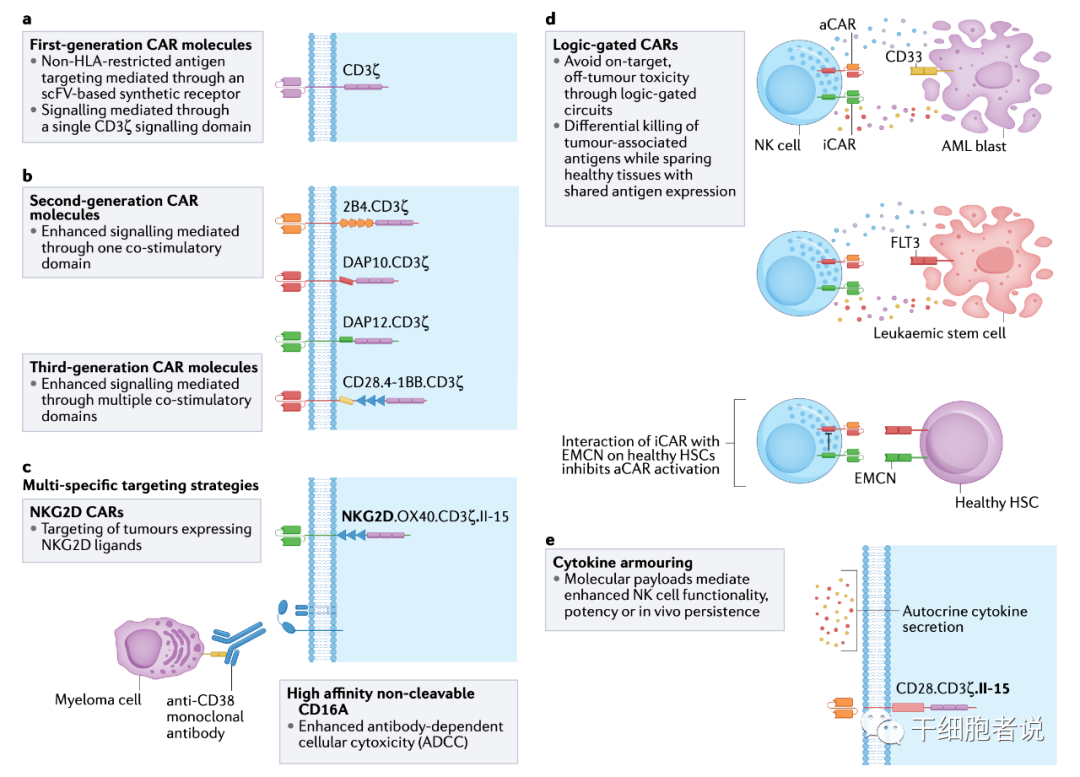 Nat Rev Cancer：NK细胞疗法未来方向