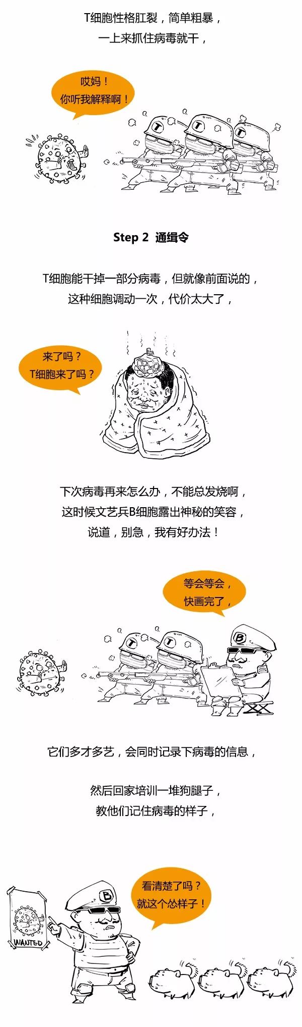 流感发生后，免疫细胞宝宝们在干啥？