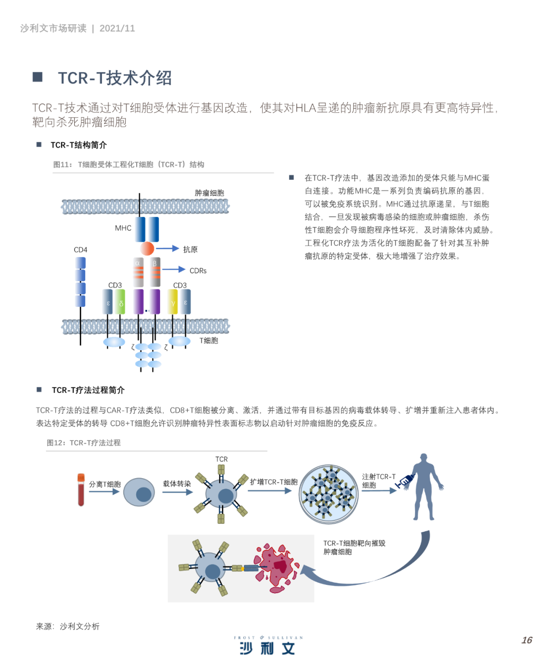 中国细胞治疗产业发展白皮书