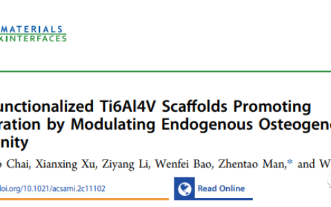 ACS Appl Mater Interfaces | 山东第一医科大学附属省立医院李伟教授团队：外泌体功能化支架促进骨整合