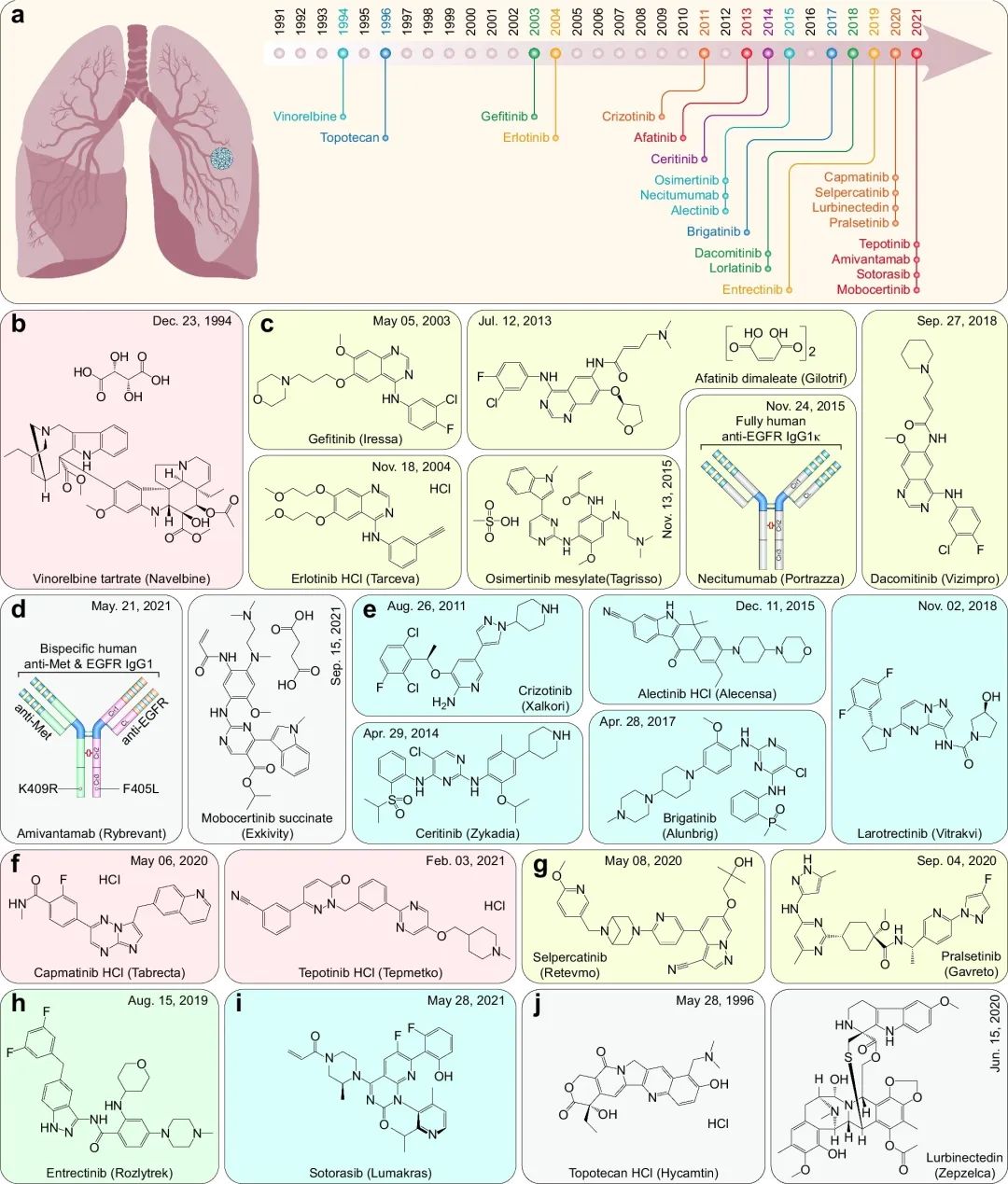 最新综述：抗肿瘤药物三十年，FDA 批准的小分子药物与免疫治疗药物