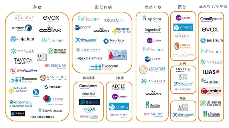 外泌体行业分析报告