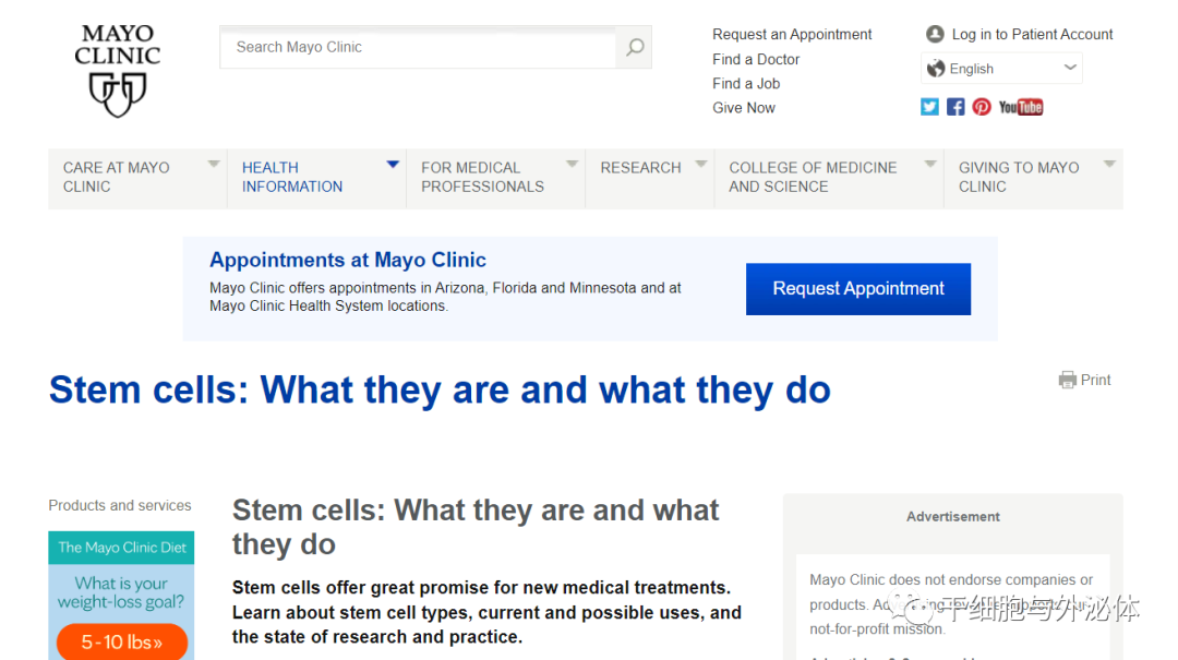 梅奥诊所 | 干细胞是什么以及它们的作用
