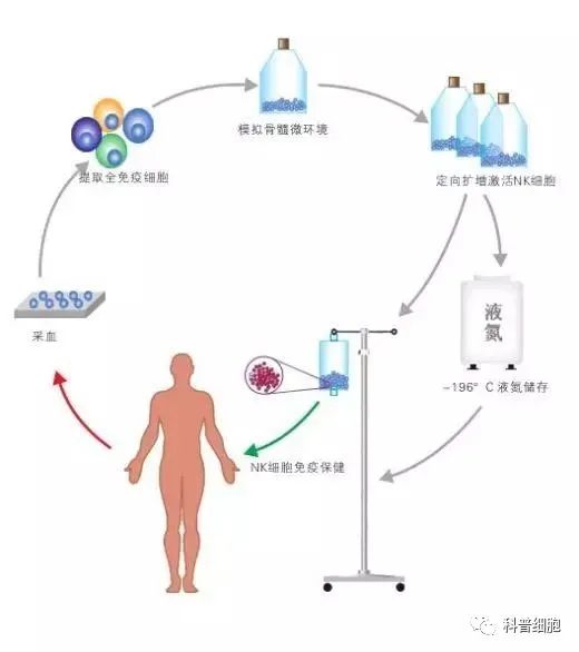 关于NK细胞，你需要知道什么？