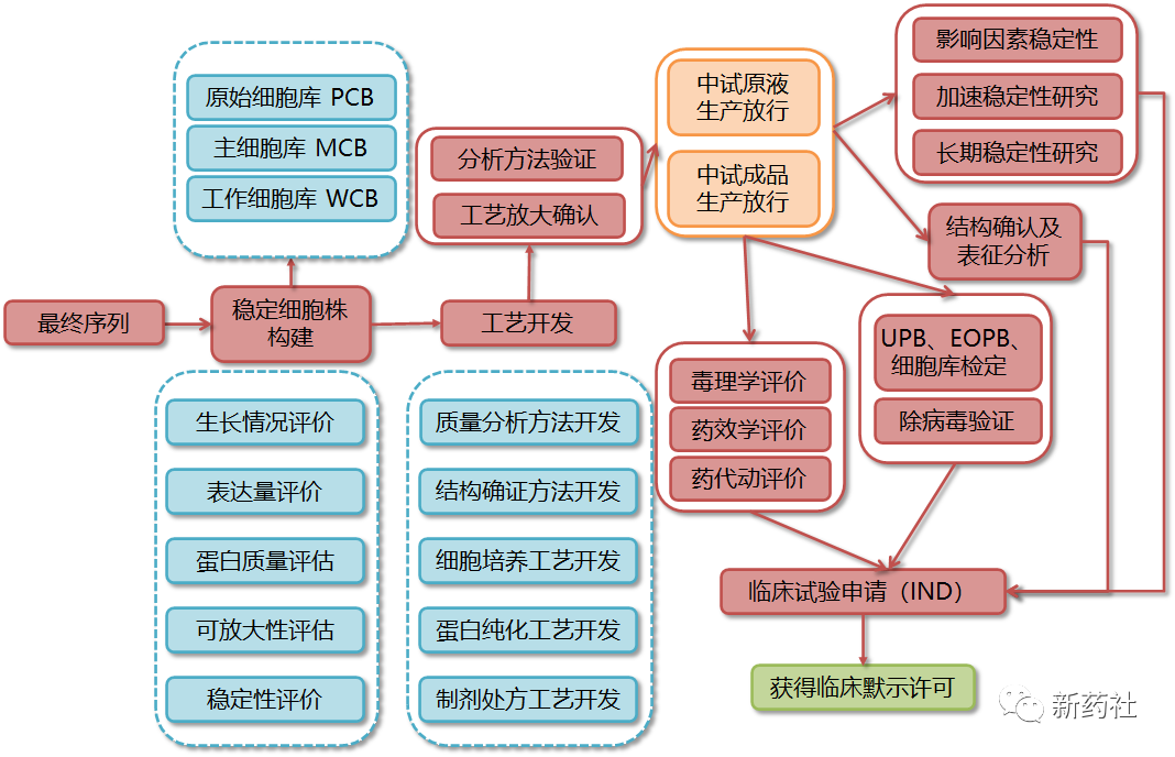 超赞！药物研发全流程图总结！