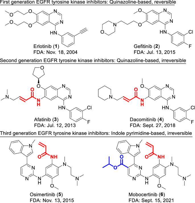 最新综述：抗肿瘤药物三十年，FDA 批准的小分子药物与免疫治疗药物