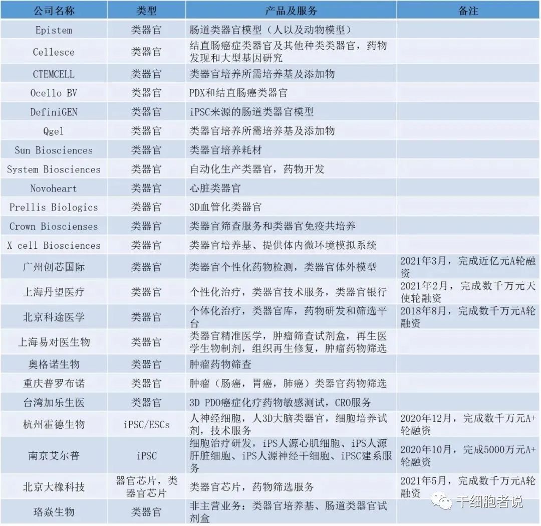 资料|一份研报：读懂类器官行业