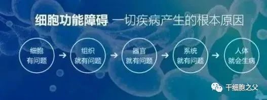 干细胞 — 亚健康的天敌，人体健康的保障