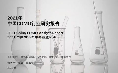 中国CDMO行业研究报告