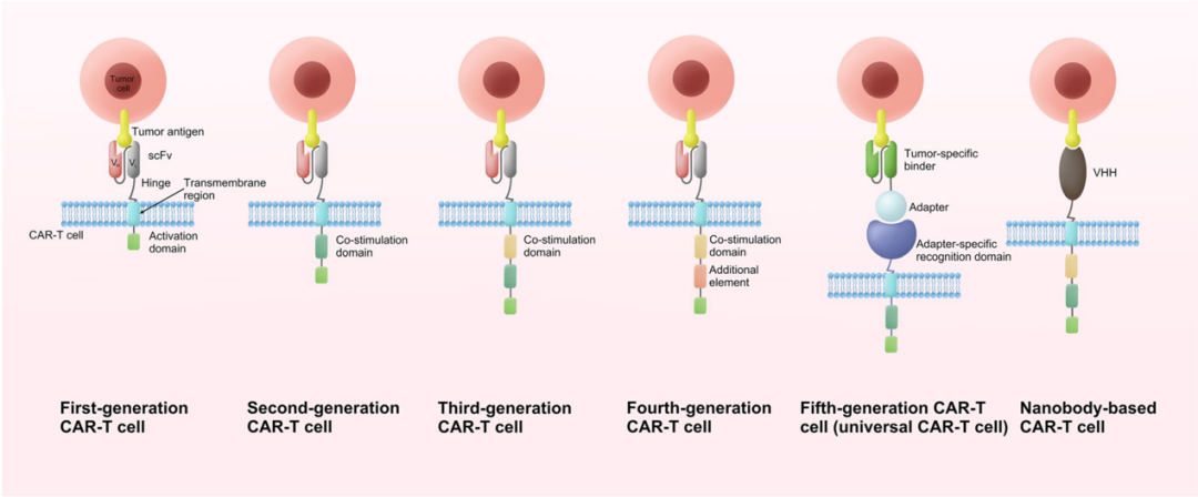 重磅盘点 | 肺癌、胃癌、胰腺癌、乳腺癌等，12大常见实体瘤CAR-T疗法进展全览（一）