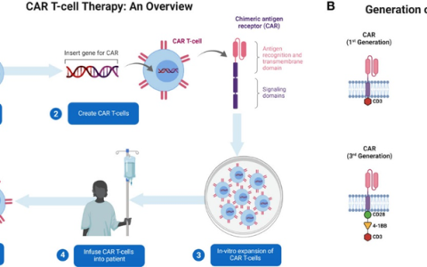CAR-T细胞疗法: 精准靶向，未来可期