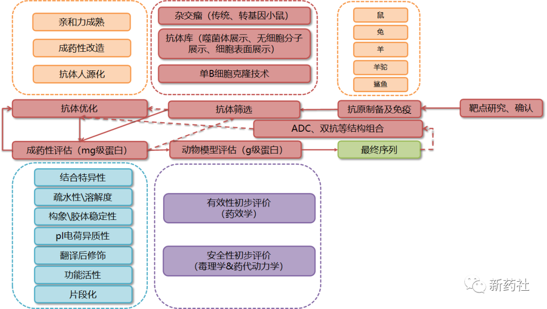 超赞！药物研发全流程图总结！