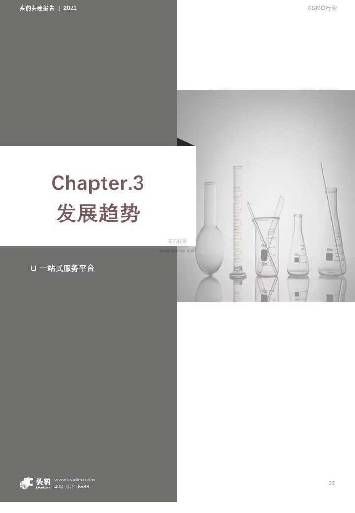 中国CDMO行业研究报告