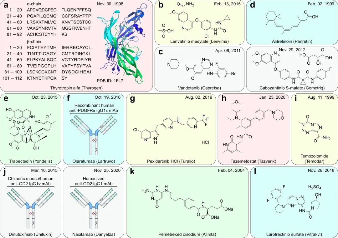 最新综述：抗肿瘤药物三十年，FDA 批准的小分子药物与免疫治疗药物