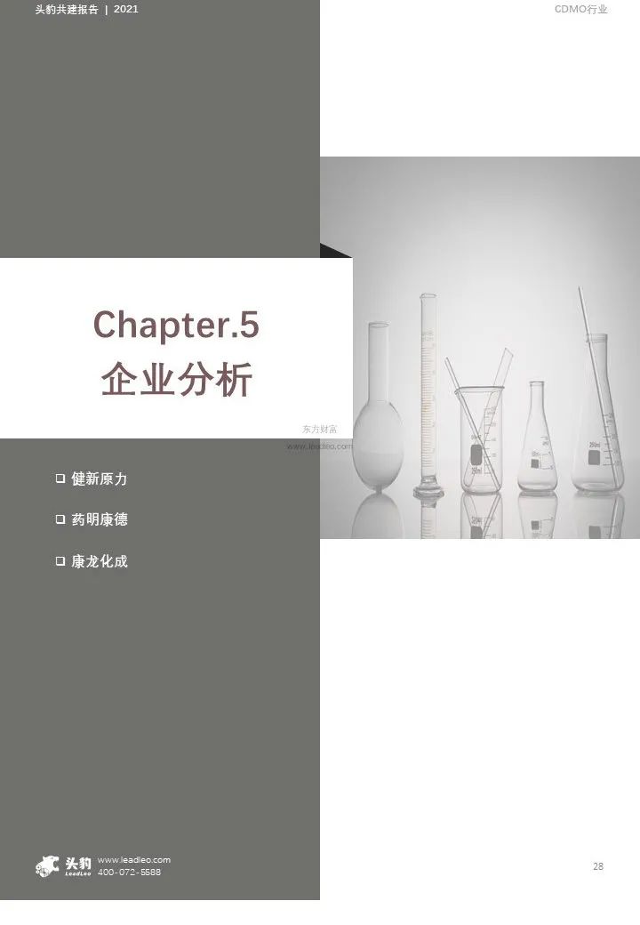中国CDMO行业研究报告