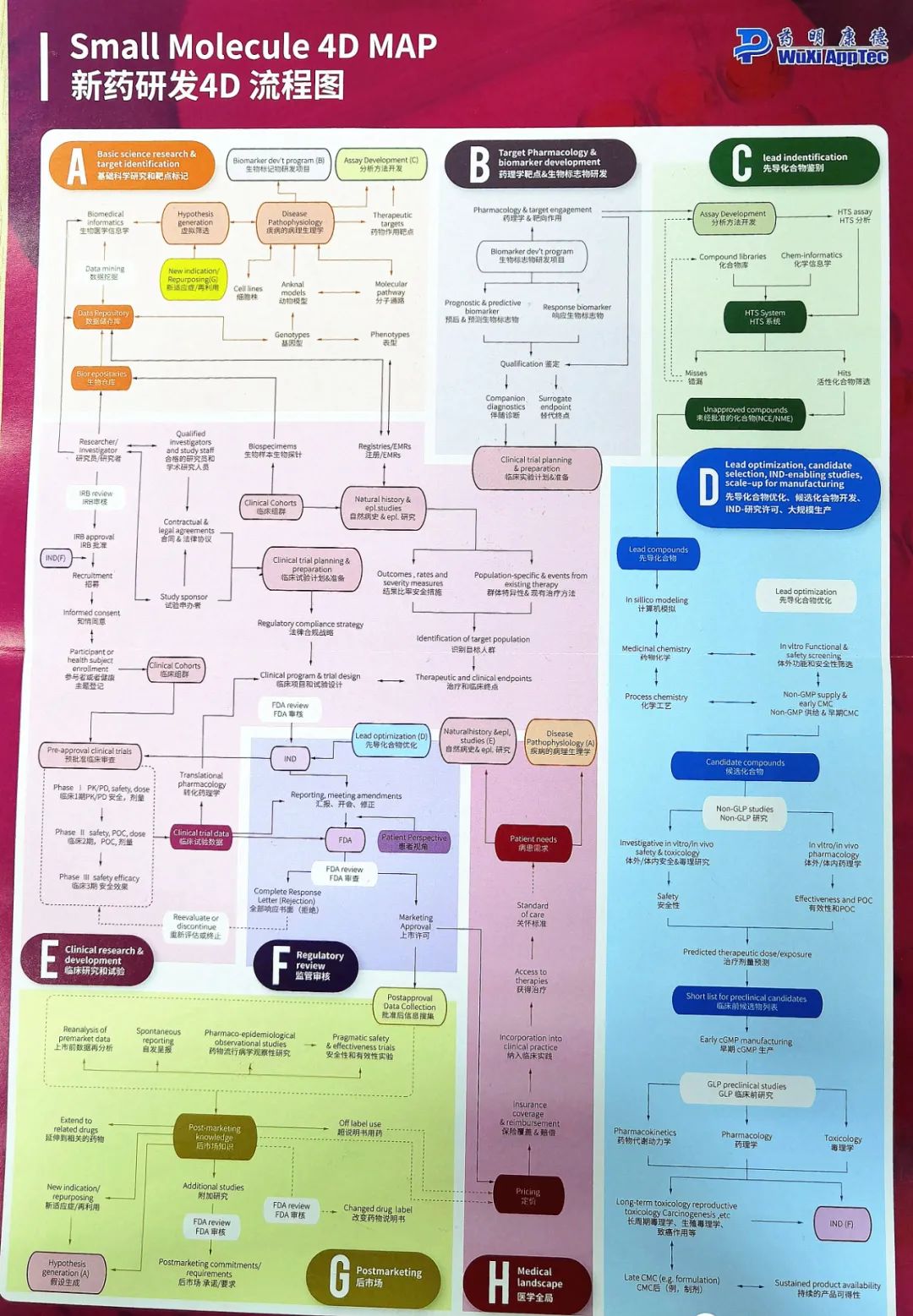 超赞！药物研发全流程图总结！