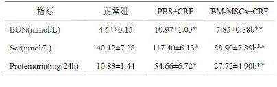 痛风，一场“重塑”人类历史的疾病，干细胞带来新希望！