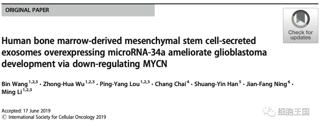 《国际分子科学杂志》｜综述间充质干细胞来源的外泌体治疗癌症：机遇和挑战
