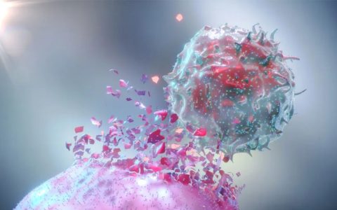 疾病控制率近乎100%，PD-1联合细胞免疫疗法为患者带来更长时间生存获益