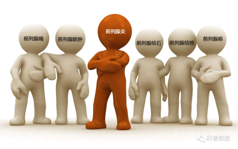 前列腺炎、不孕症、ED——干细胞有效修复男性生理机能！