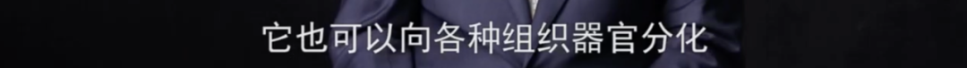 面对衰老的身体，干细胞技术能带来哪些变化？