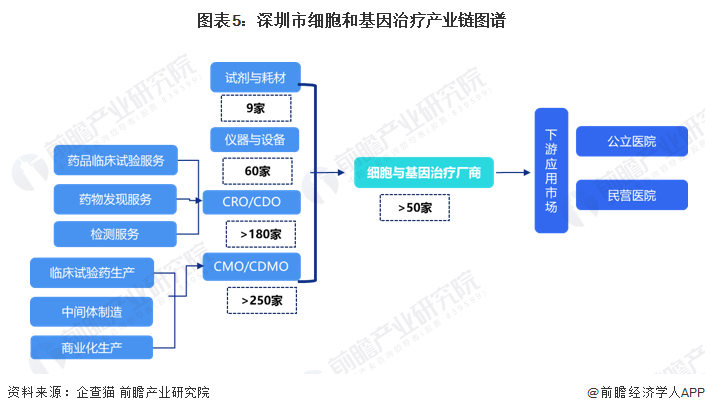 2022年深圳市细胞和基因治疗产业链全景图谱