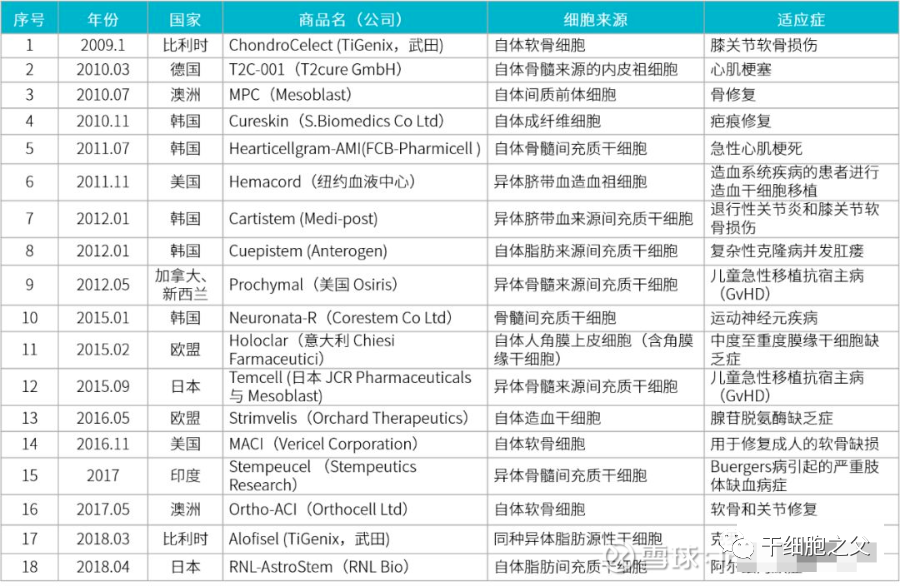 干细胞回输多久见效？效果持续多长？