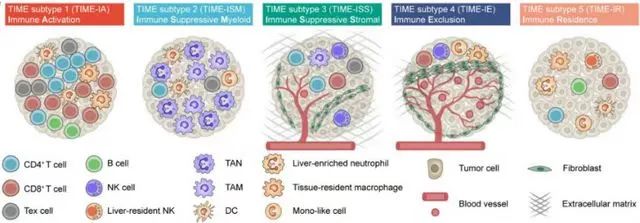 Nature发表：北大团队重大发现，癌症治疗新希望