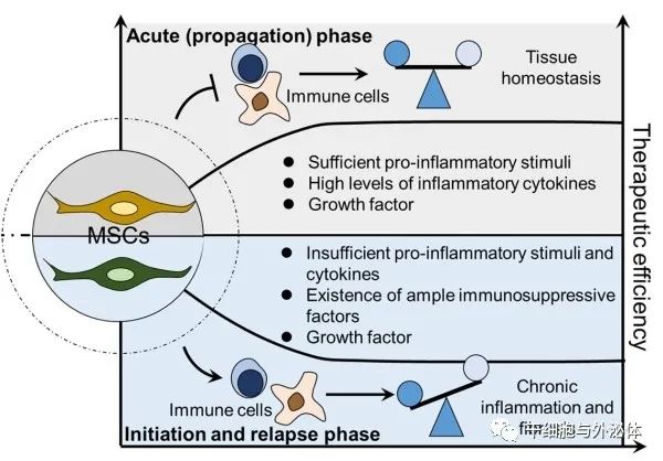 中科院发布《间充质干细胞与免疫应答的相互调节》特邀综述